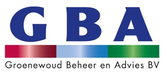 GB-Advies logo